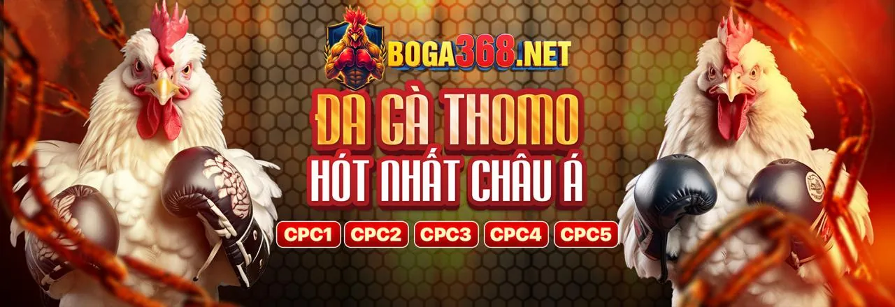 Đá Gà Trực Tuyến CM888 Nhà Cái